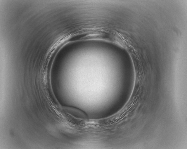 X0000116310050200911301511