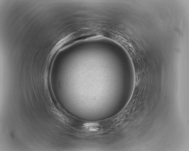 X0000116310051200911301511