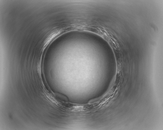 X0000116310052200911301512