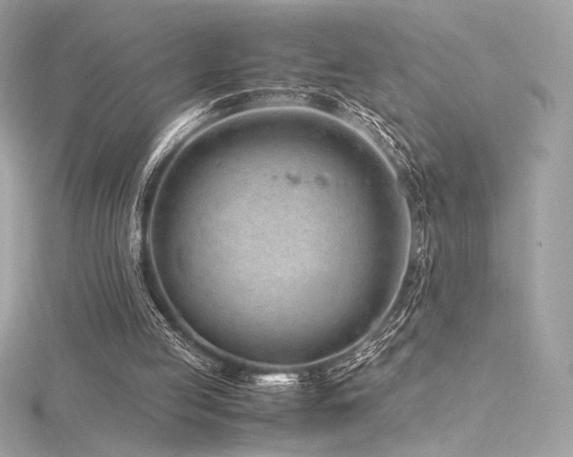 X0000116310053200911301512