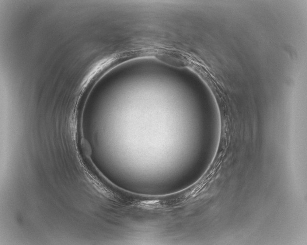 X0000116310054200911301512