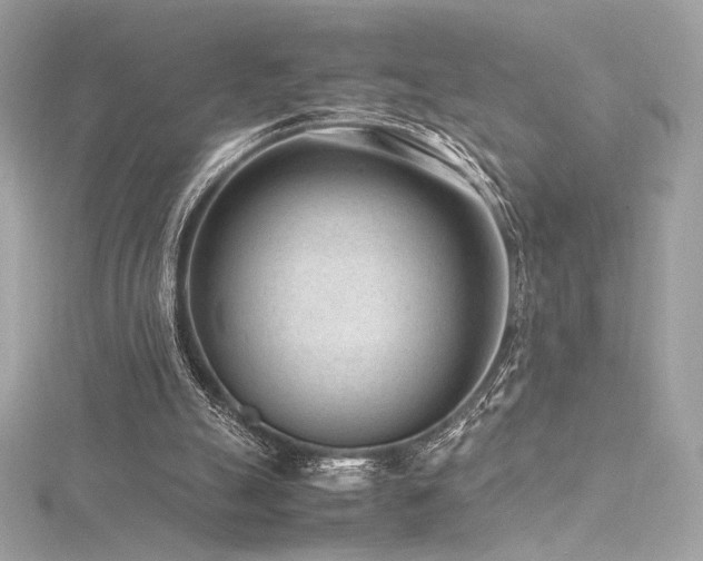 X0000116310055200911301512