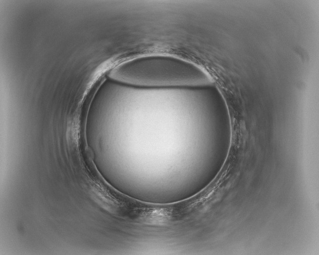 X0000116310056200911301512