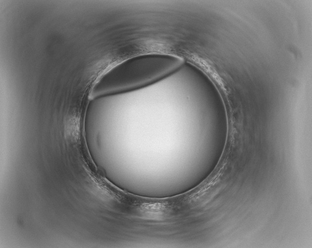 X0000116310057200911301512