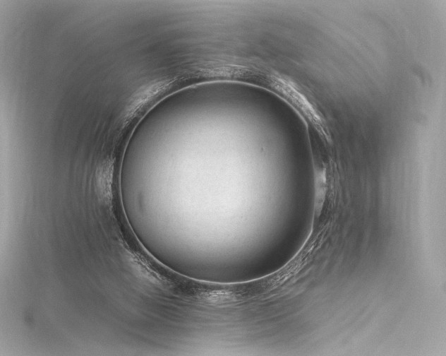 X0000116310058200911301512