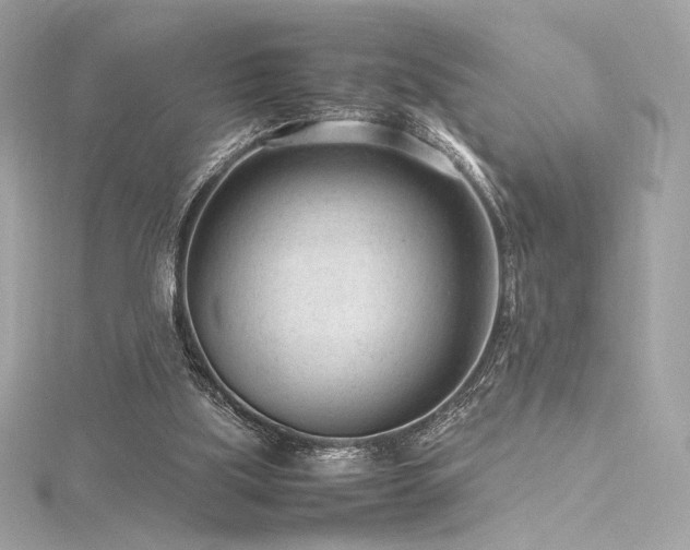 X0000116310059200911301512