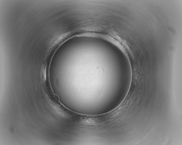 X0000116310062200911301512