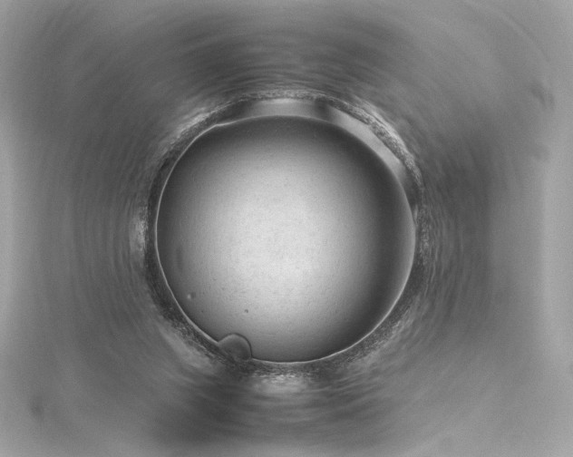 X0000116310063200911301512