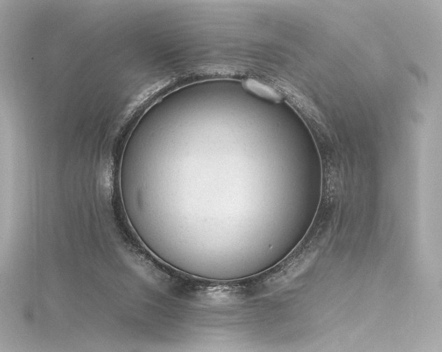 X0000116310064200911301512