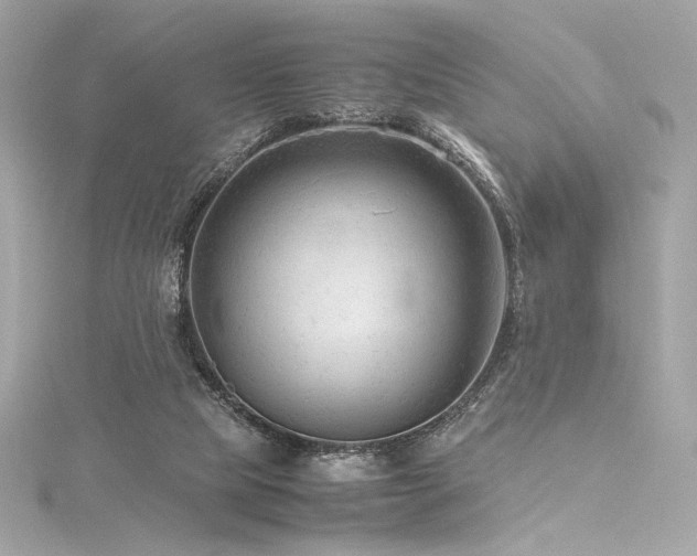 X0000116310065200911301512