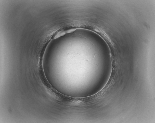 X0000116310066200911301512