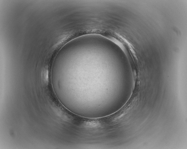 X0000116310067200911301512