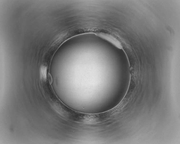 X0000116310070200911301512