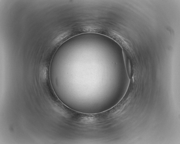 X0000116310071200911301512