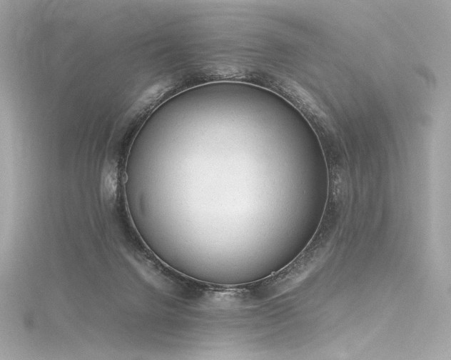 X0000116310072200911301512