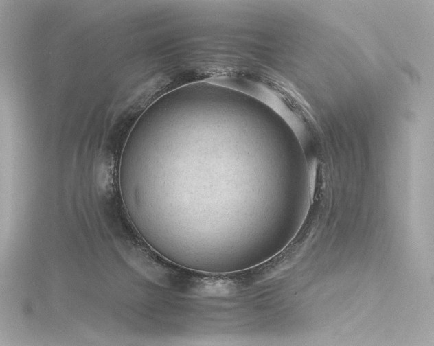 X0000116310073200911301512