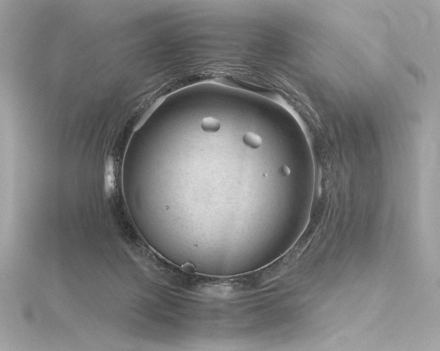 X0000116310075200911301512