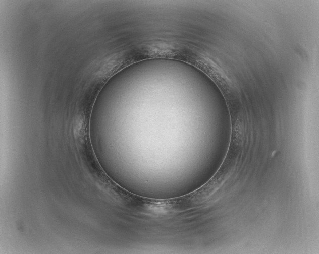 X0000116310079200911301512