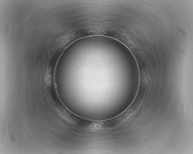 X0000116310080200911301512