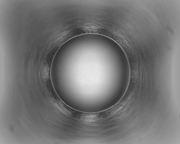 X0000116310081200911301512