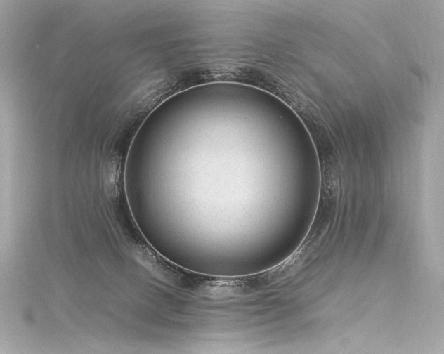 X0000116310082200911301512