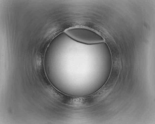 X0000116310084200911301512