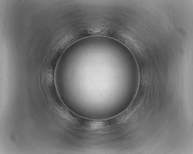 X0000116310085200911301512