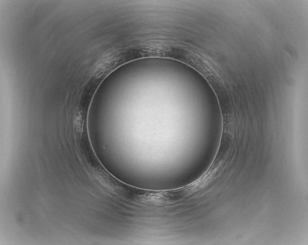 X0000116310086200911301512