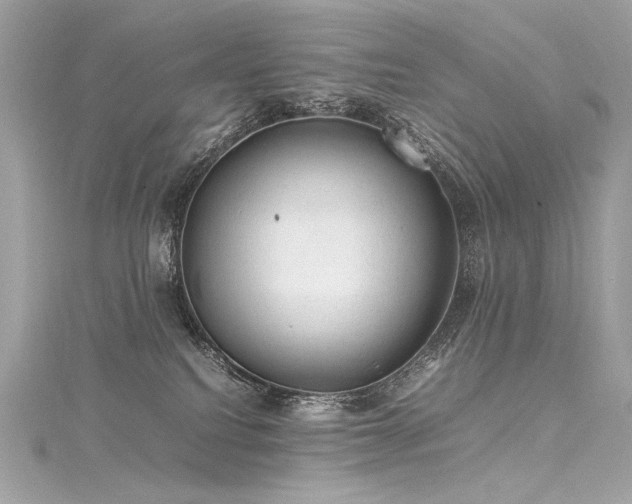 X0000116310088200911301512