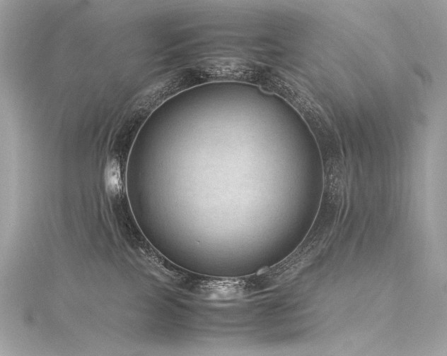 X0000116310089200911301512