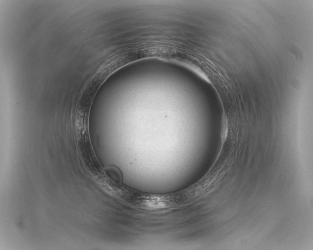 X0000116310091200911301512