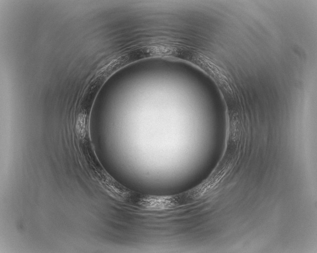 X0000116310093200911301512