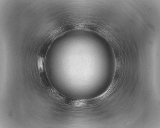 X0000116310094200911301512