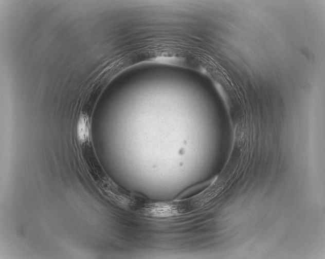 X0000116310095200911301512