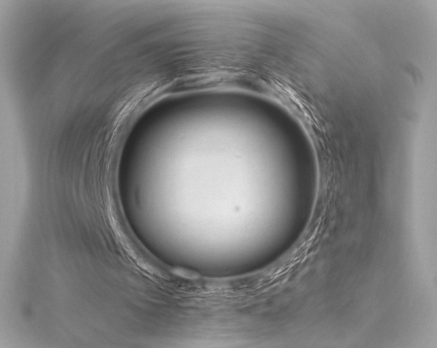 X0000116310097200911301511