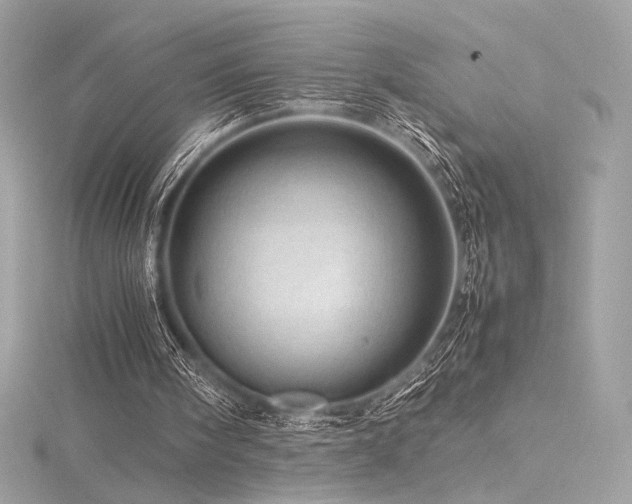 X0000116310098200911301511