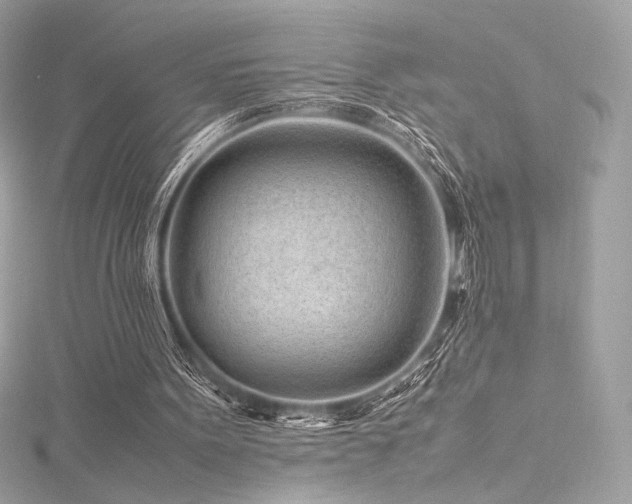 X0000116310099200911301511