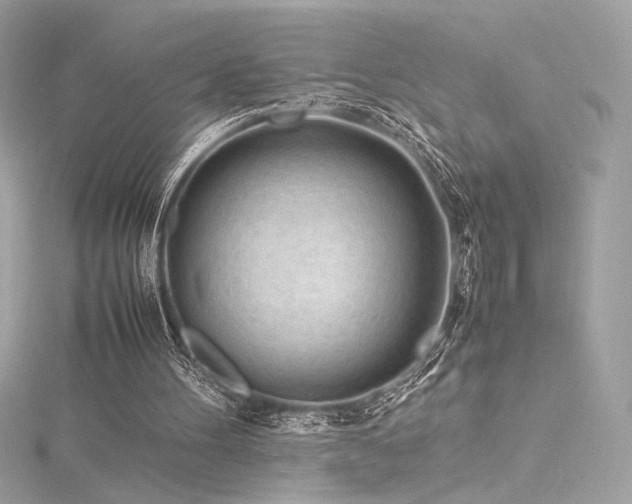 X0000116310100200911301511