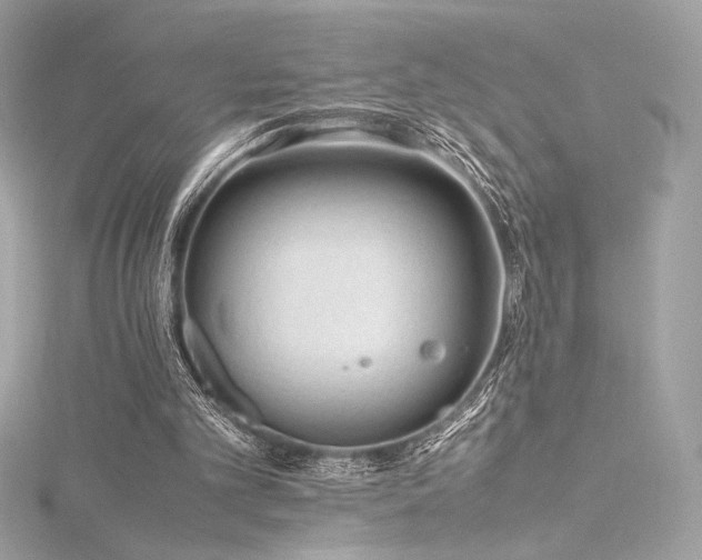 X0000116310101200911301511