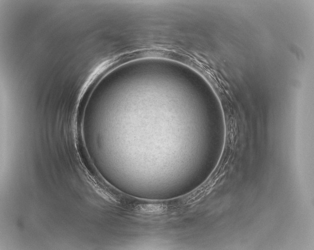 X0000116310102200911301511