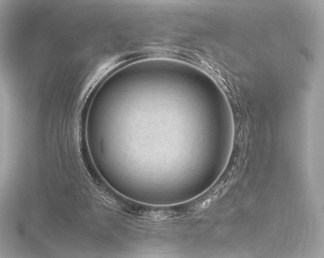 X0000116310103200911301511