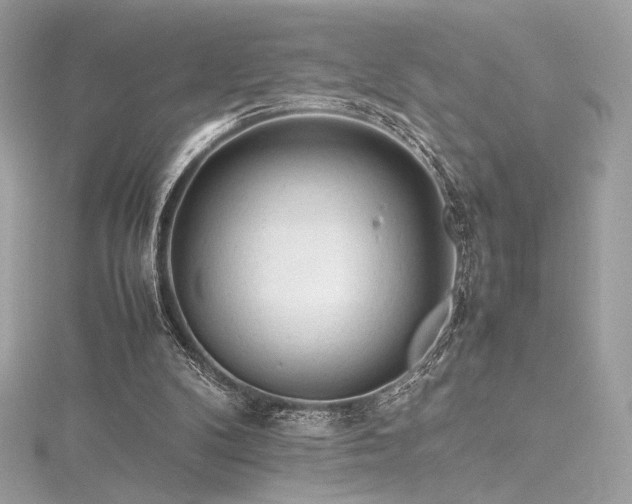 X0000116310104200911301511