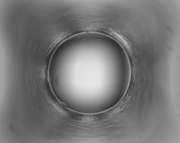 X0000116310105200911301511