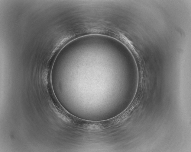 X0000116310106200911301511