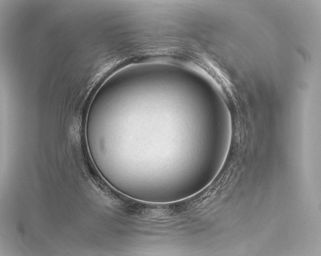 X0000116310107200911301511