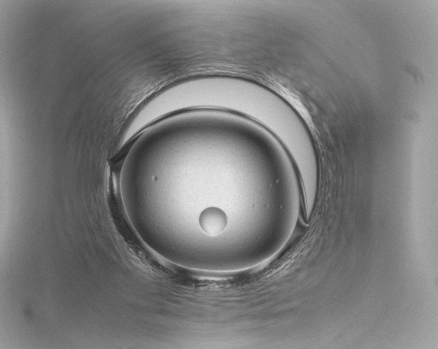 X0000116310109200911301511