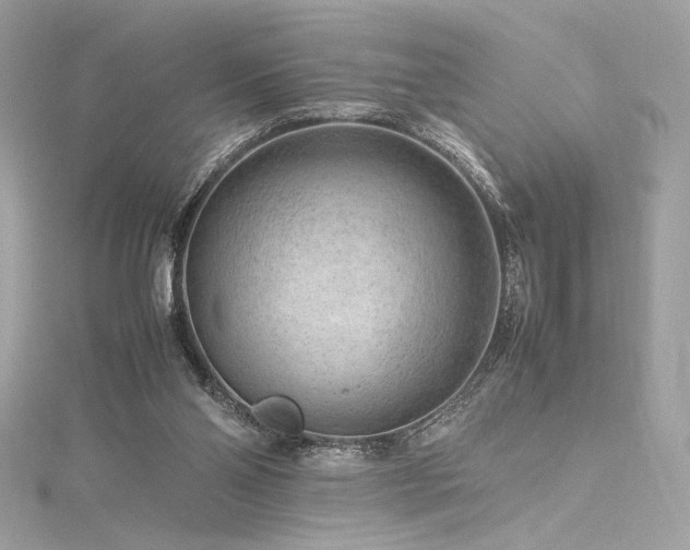 X0000116310110200911301511