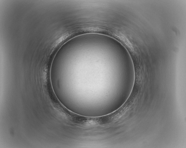 X0000116310111200911301511