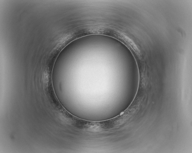 X0000116310113200911301511