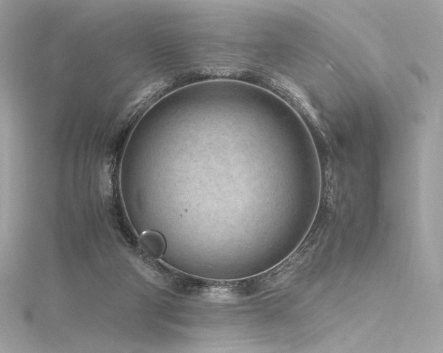 X0000116310114200911301511